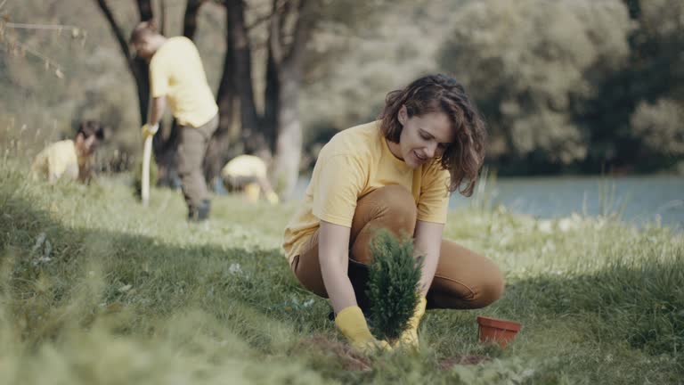 Best Lawn Watering Services  in Webster, FL